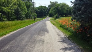 quiet country street