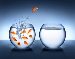 goldfish jumping - improvement and career concept